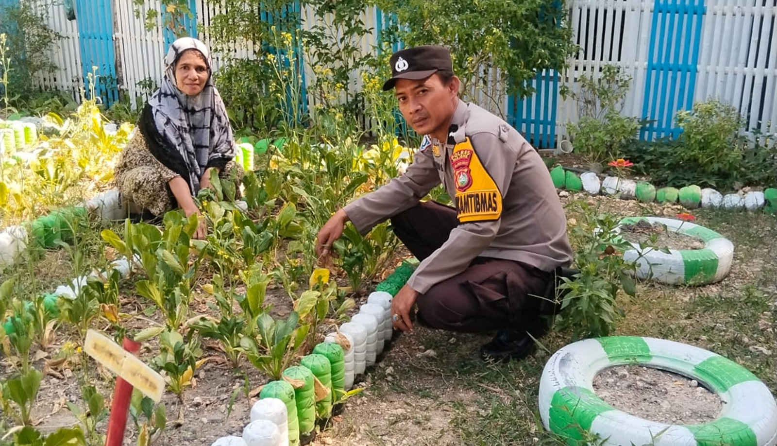 ‎Lewat Kebun Dasawisma, Polsek Banggae Perkuat Ketahanan Pangan Warga