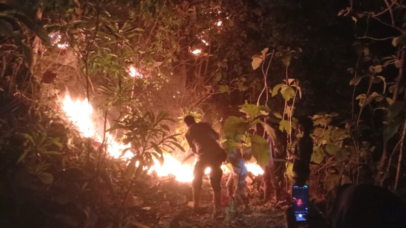 Kebakaran Lahan Di Desa Lalatedzong, Polsek Sendana gerak Padamkan