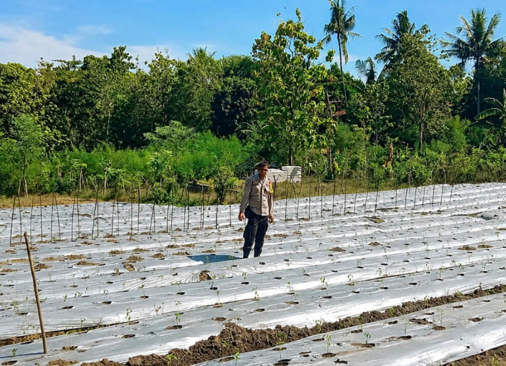 Bhabinkamtibmas Polsek Sendan Dorong Ketahanan Pangan