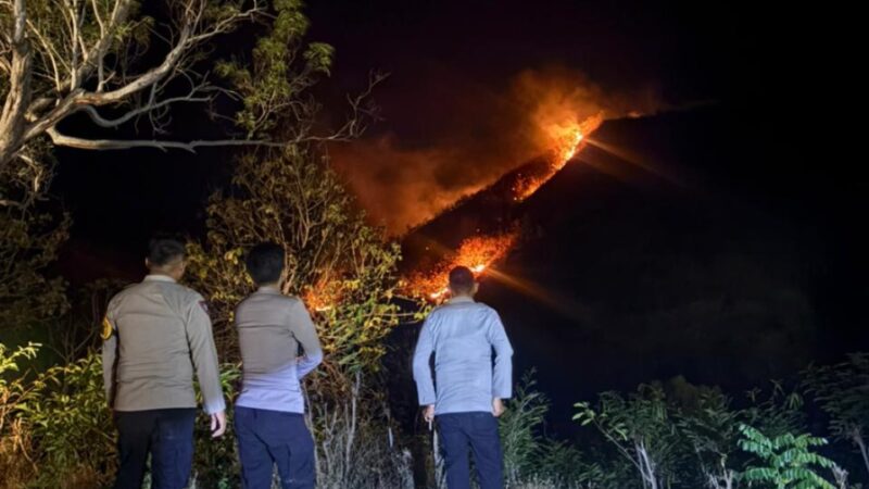 Kebakaran Lahan di Bukit Lembang Polsek Sendana dan Warga Berjibaku Padamkan