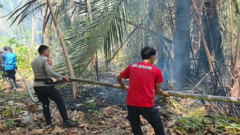 Kebakaran Lahan Teppo Berhasil Dipadamkan