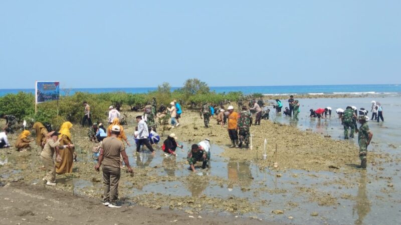 Semarak HUT TNI, Kapolsek Sendana dan Lintas Sektor tanam 210 Bibit Mangrove
