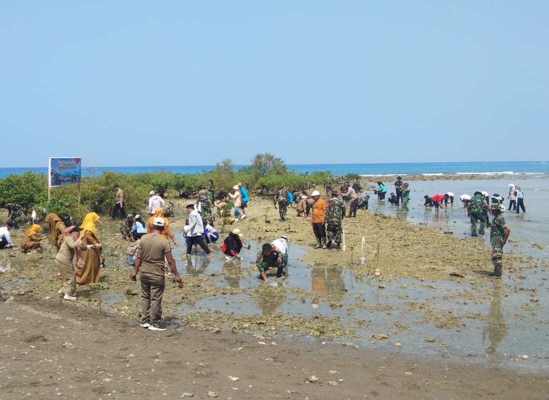 Semarak HUT TNI, Kapolsek Sendana dan Lintas Sektor tanam 210 Bibit Mangrove