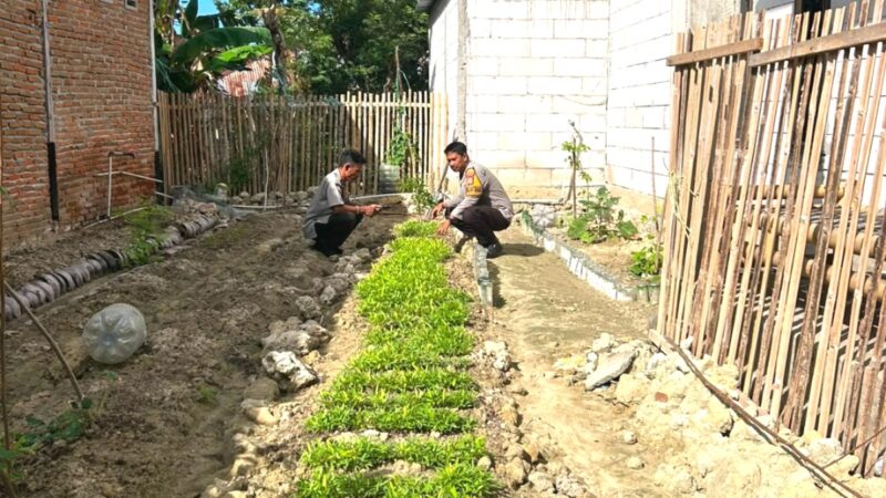 Bhabinkamtibmas Polsek Banggae Dorong Kelompok Wanita Tani