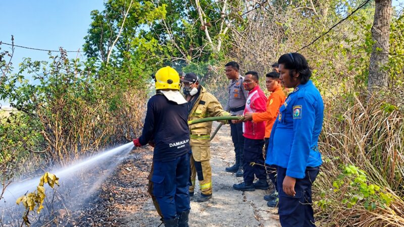 Kebakaran Lahan Nonproduktif di Baruga Dhua