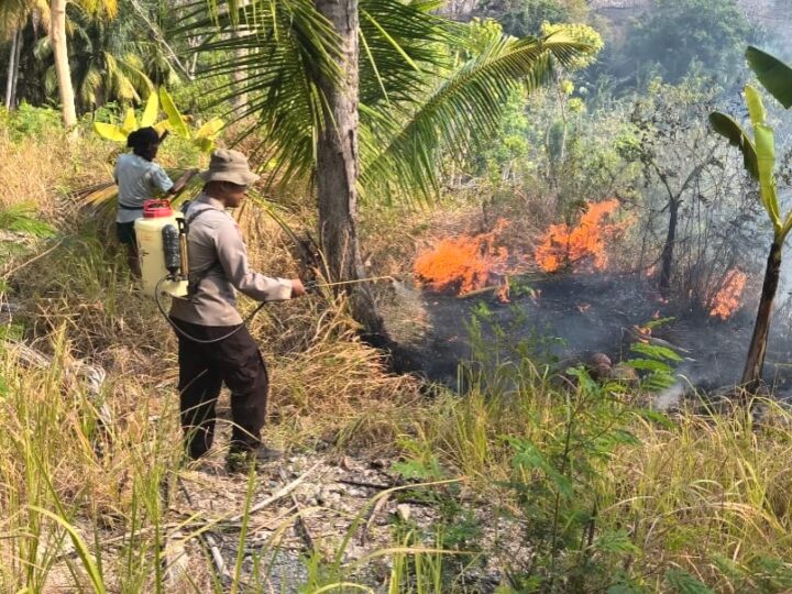 Polsek Banggae Bersama Warga Gerak Cepat Tangani Kebakaran Lahan di Tande