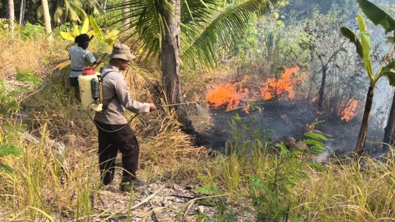 Polsek Banggae Bersama Warga Gerak Cepat Tangani Kebakaran Lahan di Tande