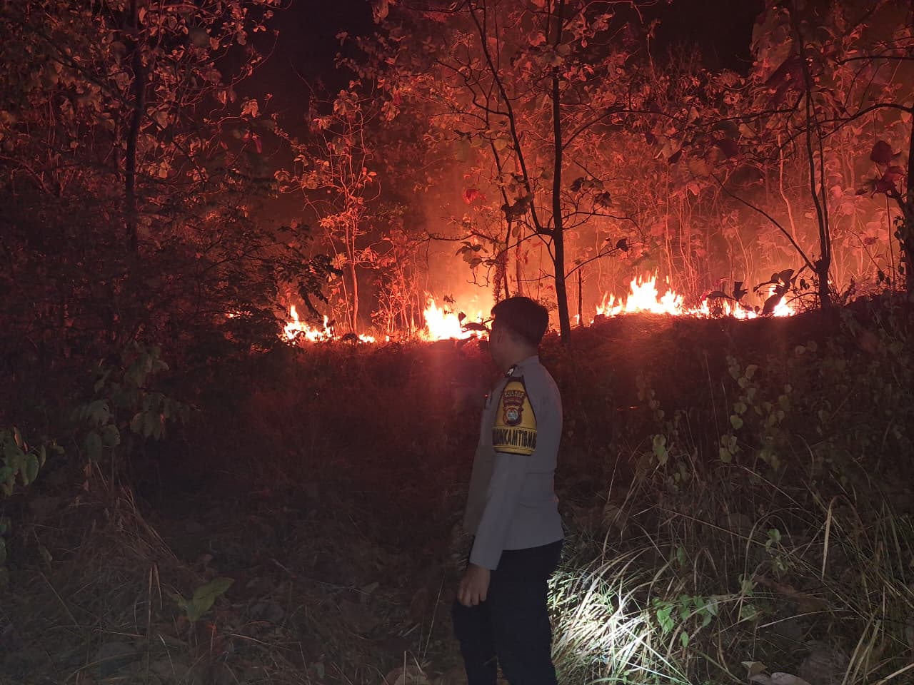‎Kebakaran Lahan di Ulumanda, Polsek Malunda Bersama Warga Berjibaku Padamkan Api